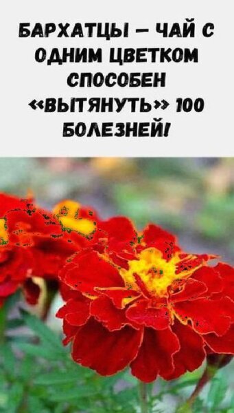 906a21e3dd8e497a3ea9e6316a0b35c7.jpg