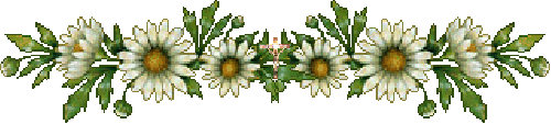 245bf1b7809db08aaff6497fad4d68eb.gif