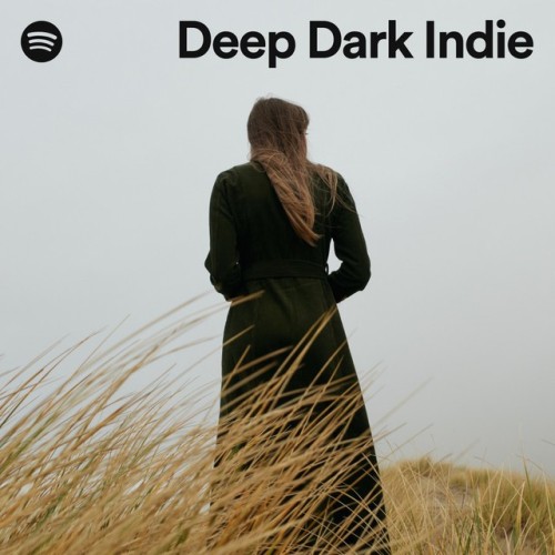 Various Artists - Deep Dark Indie (2024)
