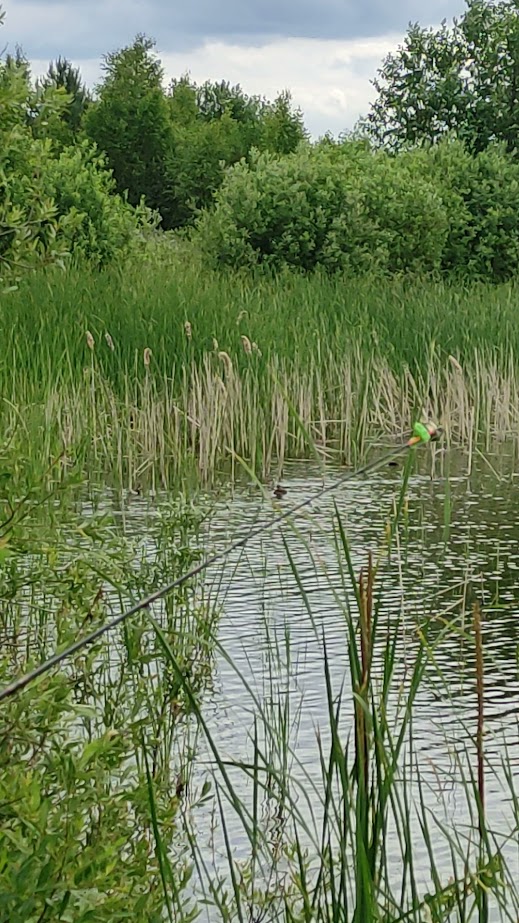 vid_20250617_115610.jpg