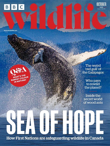 bbc-wildlife-2025-n11-october_stranitsa_001.jpg