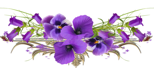 150402118_4059776_byket_razdelitel.png