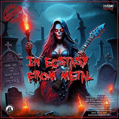 VA - In ecstasy from metal (2024)