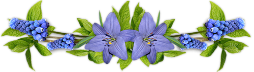 f00bd73ea2c9bd97b7cb51e3763617ab.png