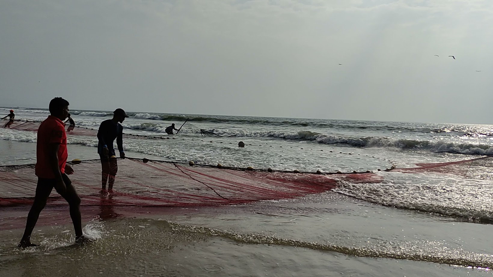 vid_20241204_153429.jpg
