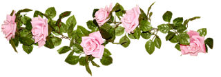 ec087f20b7951d51ccde65e99373f2f3.png