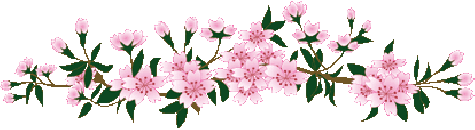 b78d045a037f8adea984d55be5bfff38.gif