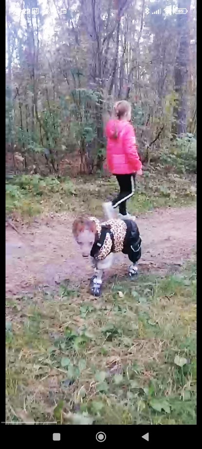 1758659061393.jpg