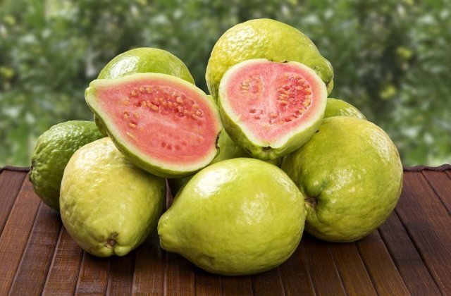 guava1.jpg